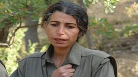 PKK-nın pul dövriyyəsini idarə edən terrorçu zərərsizləşdirildi