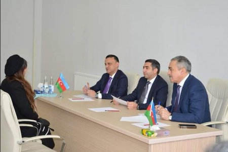 TƏBİB və bütün ölkə səhiyyəsi 7 fevral hazırlığında… - Tibb işçiləri ,,Zəfər seçkisində"kimi dəstəkləyəcək?