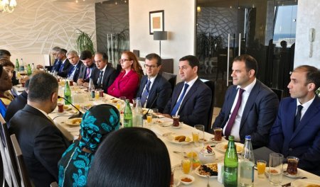 Hikmət Hacıyev: YUNESKO bir adamın əlində alətə çevrilməməlidir