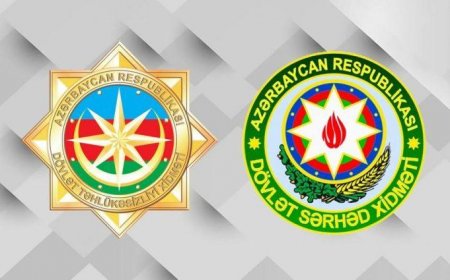 DTX VƏ DSX-dan BİRGƏ ƏMƏLİYYAT - Külli miqdarda narkotik vasitənin qanunsuz dövriyyəsi ilə məşğul olan şəxslər saxlanılıb