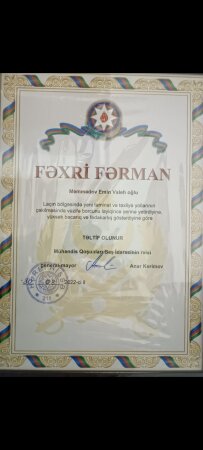 Təminat və təxliyə yolları hərbçilərimizin düşmən üzərində qələbəsini təmin etdi Təminat və təxliyə yolları hərbçilərimizin düşmən üzərində qələbəsini təmin etdi