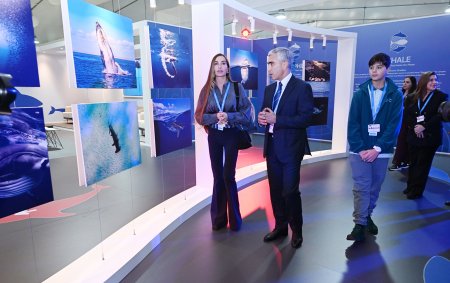 Leyla Əliyeva və Arzu Əliyeva sərgidə (FOTO)