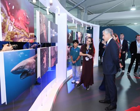 Leyla Əliyeva və Arzu Əliyeva sərgidə (FOTO)