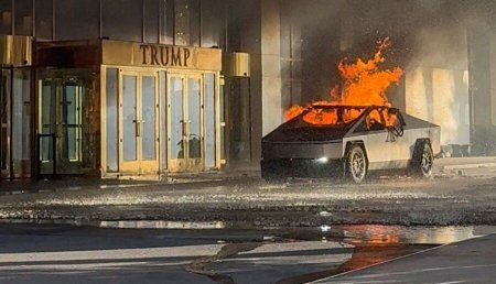 Terrorost İlon Maskın 