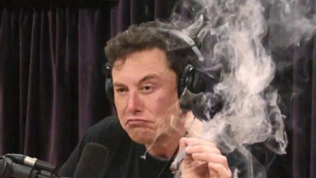 İlon Maskın bioqrafından şok iddia: 