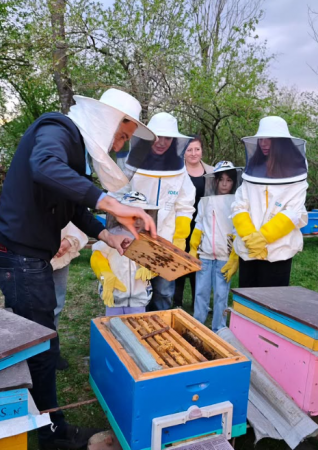 Leyla və Arzu Əliyevalar Qəbələdə - FOTOLAR