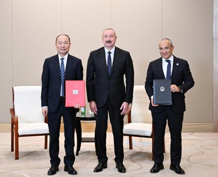 İlham Əliyev "China National Chemical Engineering" şirkətinin sədri ilə görüşdü - FOTO