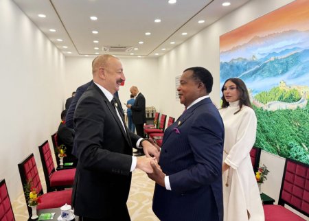 Prezidentlə xanımının paraddan maraqlı - FOTOLAR