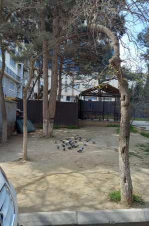 Leyla Əliyeva abadlaşdırdı, “Smartdom” MMC məhv etdi – Ölkə rəhbərliyinə ŞOK məktub .Sakinlər  dövlət qurumlarından və Leyla xanımdan kömək gözləyir...