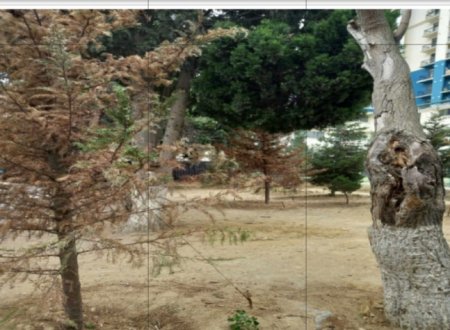 Leyla Əliyeva abadlaşdırdı, “Smartdom” MMC məhv etdi – Ölkə rəhbərliyinə ŞOK məktub .Sakinlər  dövlət qurumlarından və Leyla xanımdan kömək gözləyir...